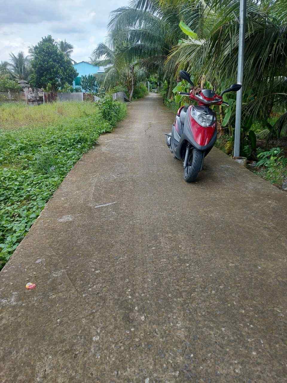 Bán đất Mỹ Phú, Thủ Thừa, Long An giá siêu rẻ