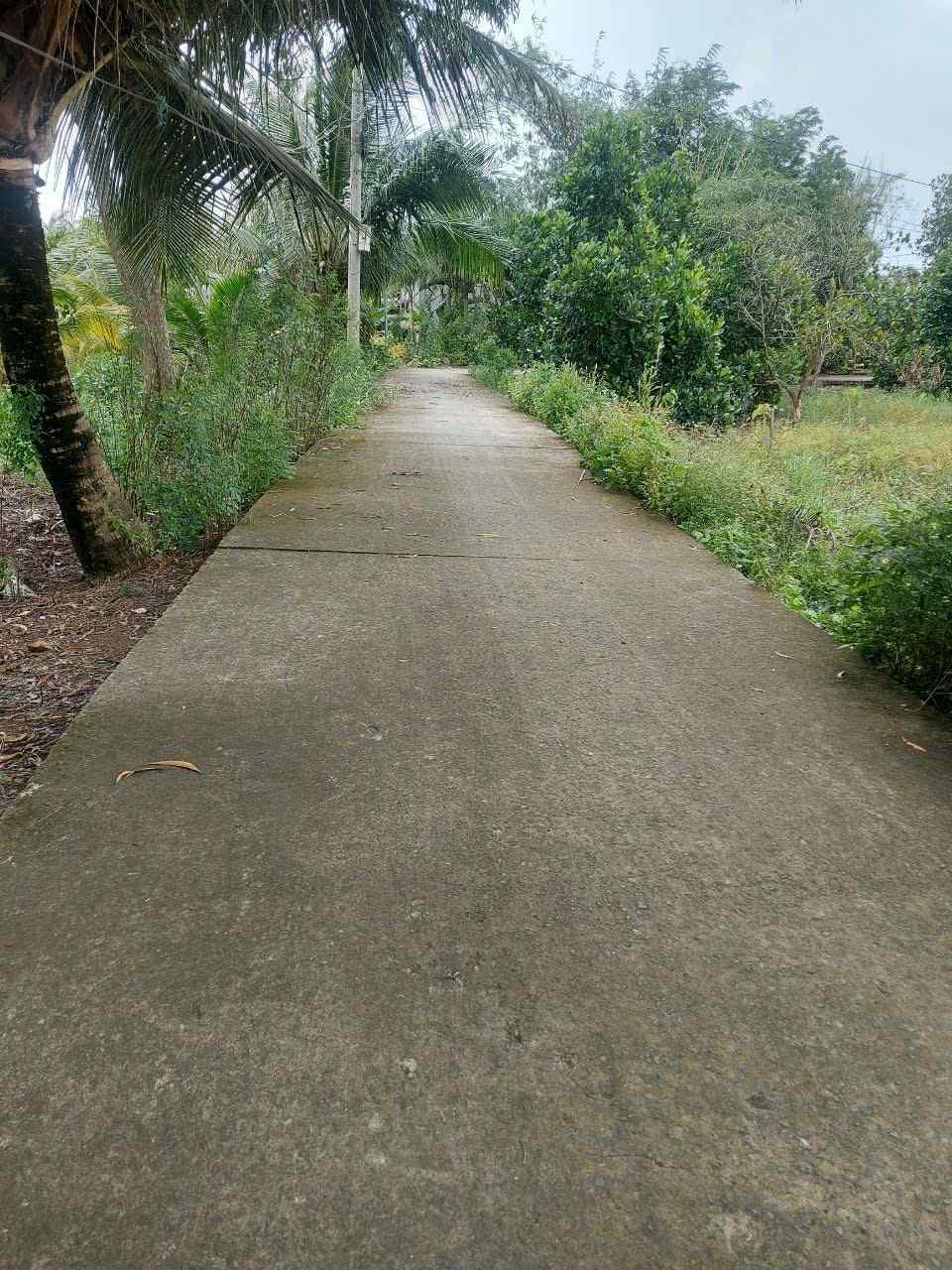 Bán đất Mỹ Phú, Thủ Thừa, Long An giá siêu rẻ