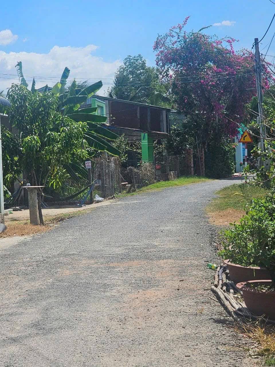 Đata gần chợ Hòa Bình đầu đường là bách hóa điện máy xanh, chợ, trường học, ubnd,... Đất ở Thành Long, Châu Thành, Tây Ninh (cũ)