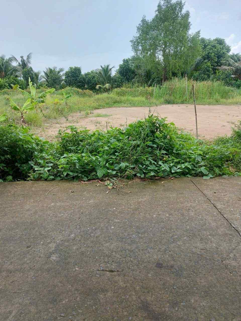 Bán đất Mỹ Phú, Thủ Thừa, Long An giá siêu rẻ